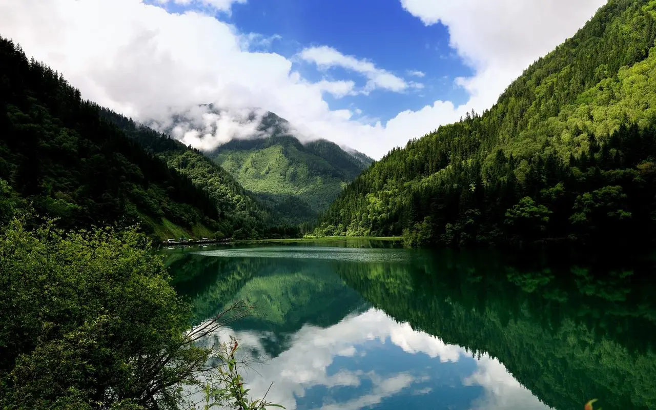 高性能高端